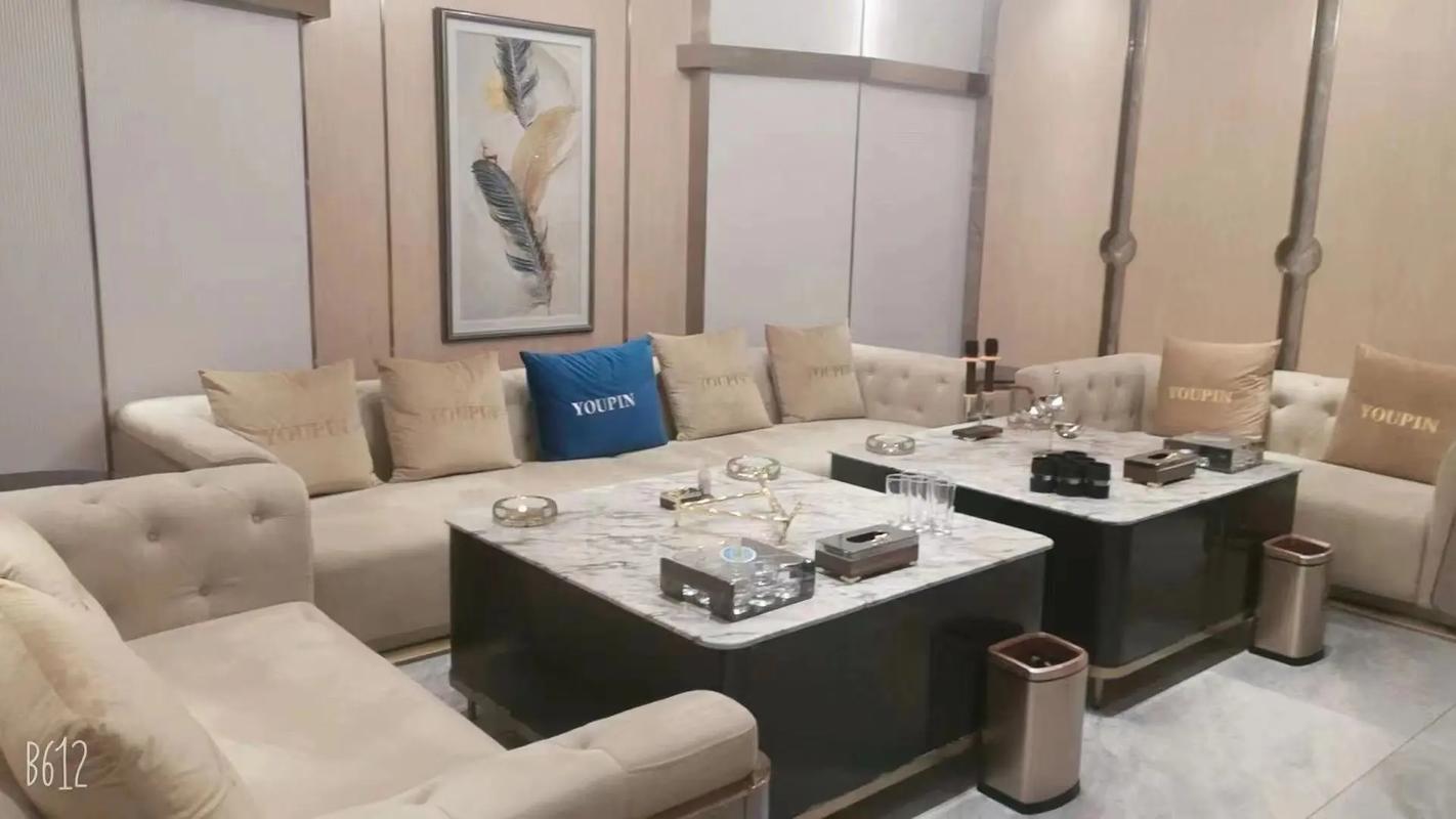 吉林商务ktv片场差异-船营区ktv预定